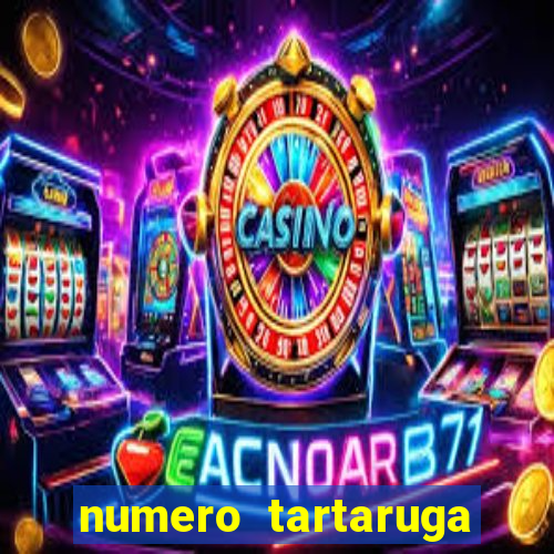 numero tartaruga jogo do bicho